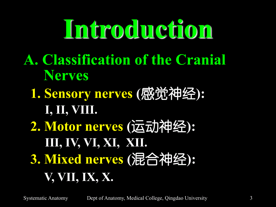 Section 2 The Cranial Nerves(脑神经)-医学资料_第3页