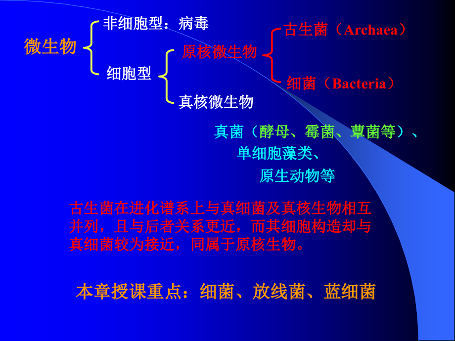 Chapter2原核微生物-医学资料_第2页