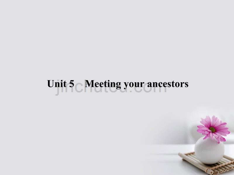 2018届高三英语总复习 第一部分 回归教材 Unit 5 Meeting your ancestors课件 新人教版选修8_第3页