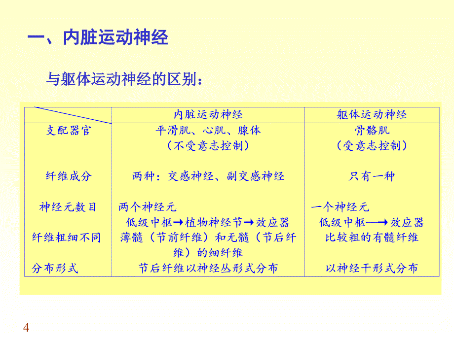 chapter18-3内脏神经-医学资料_第4页