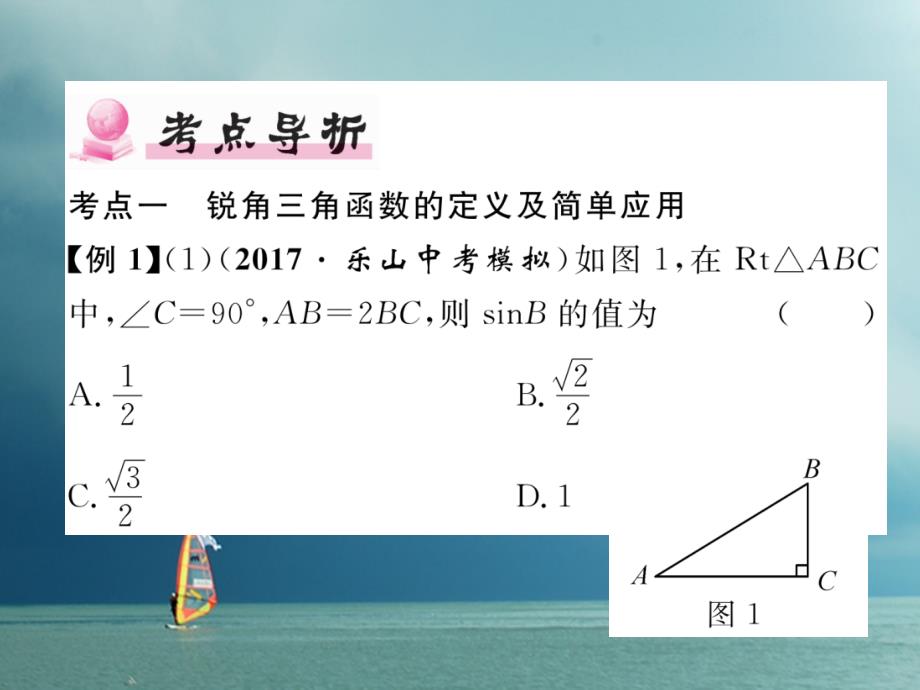 2018春九年级数学下册 系统复习6 解直角三角形作业课件 （新版）新人教版_第2页