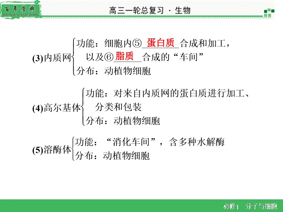 必修1 第3章 第2节细胞器-医学资料_第4页