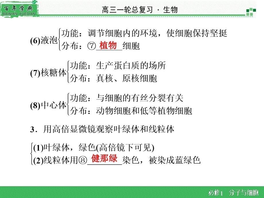 必修1 第3章 第2节细胞器-医学资料_第5页