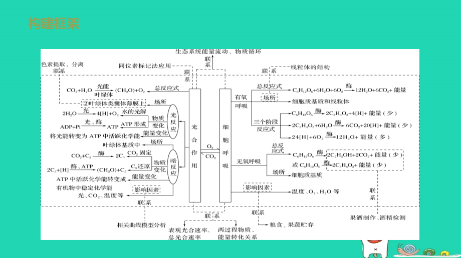 2018届高考生物二轮复习 专题 光合作用与细胞呼吸课件_第2页