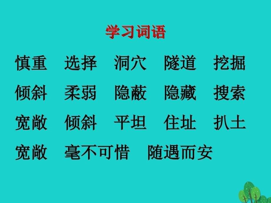 2017年四年级语文上册 第2单元 7.蟋蟀的住宅课件3 新人教版_第5页