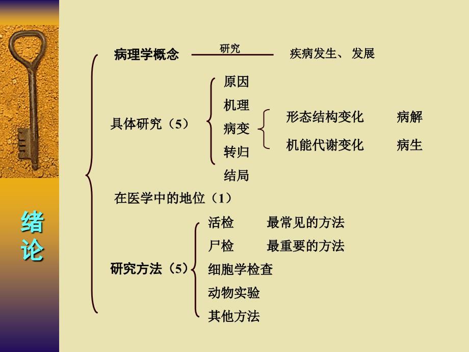 病解知识点解析临医7版-医学资料_第2页