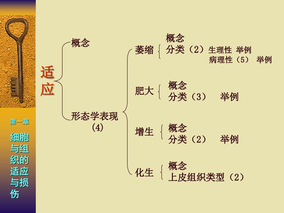 病解知识点解析临医7版-医学资料_第3页