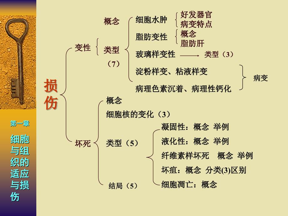 病解知识点解析临医7版-医学资料_第4页