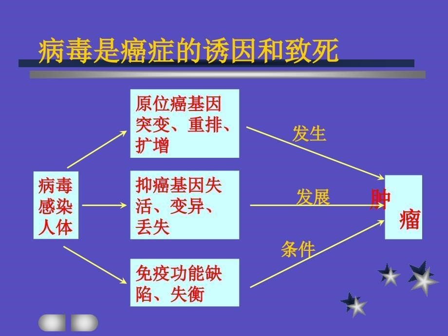 病毒感染将是21世纪人类疾病07-10-医学资料_第5页