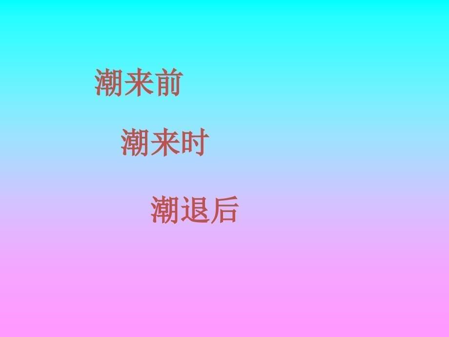 2017年四年级语文上册 第1单元 1.观潮课堂教学课件2 新人教版_第5页