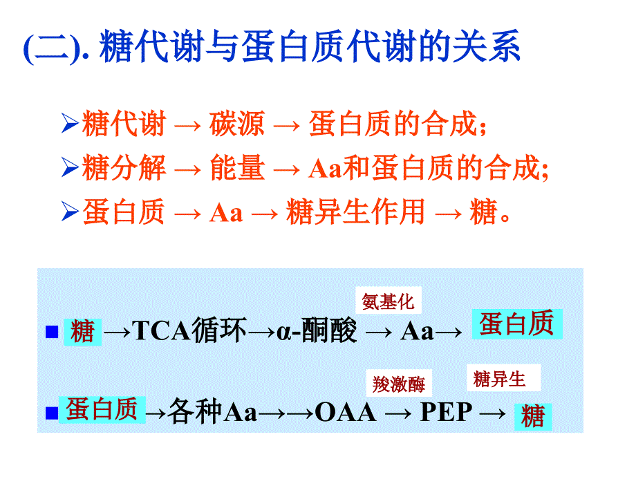 第10章代谢调控-医学资料_第4页