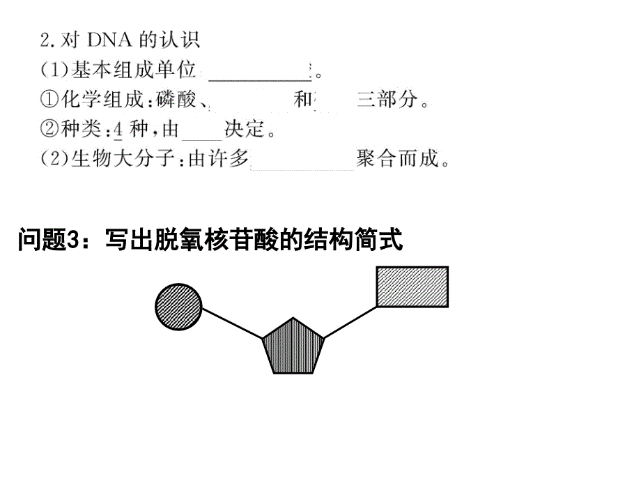 DNA是主要的遗传物质__高用-医学资料_第3页