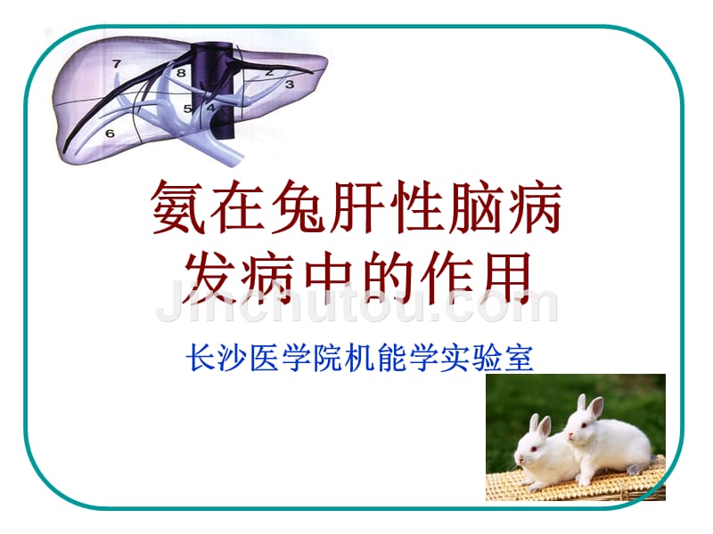 dd氨在兔肝性脑病ppt-医学资料_第1页