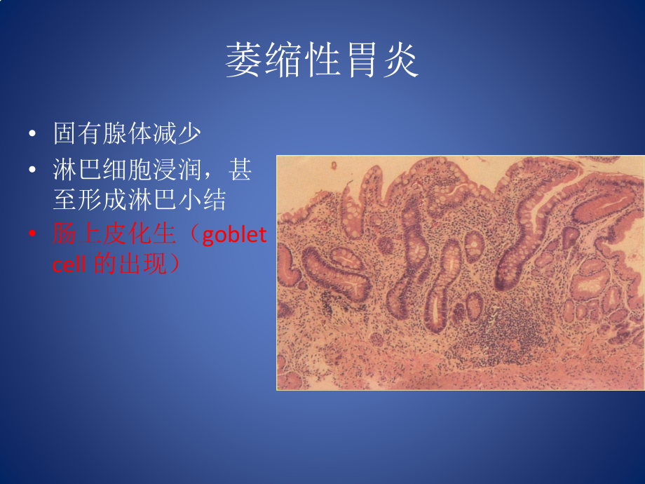 病理学 切片 实习 四川大学-医学资料_第4页