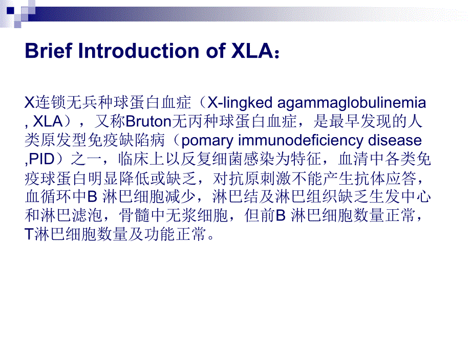 X连锁无丙种球蛋白血症 XLA-医学资料_第2页