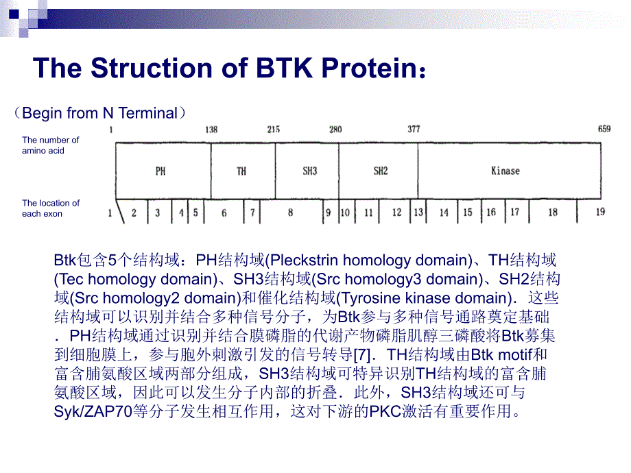 X连锁无丙种球蛋白血症 XLA-医学资料_第4页