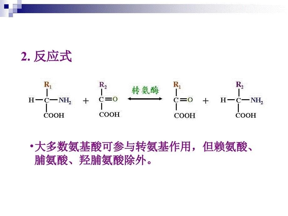 氨基酸代谢-2-医学资料_第5页