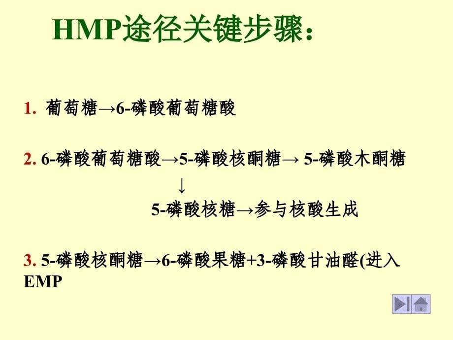 HMP途径 (戊糖磷酸途径)-医学资料_第5页