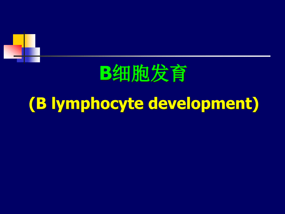 B细胞发育-医学资料_第1页