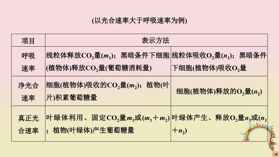 2019版高考生物一轮复习 第三单元 细胞的新陈代谢 补上一课2“三率”测定及相关实验设计创新备考课件 中图版_第4页