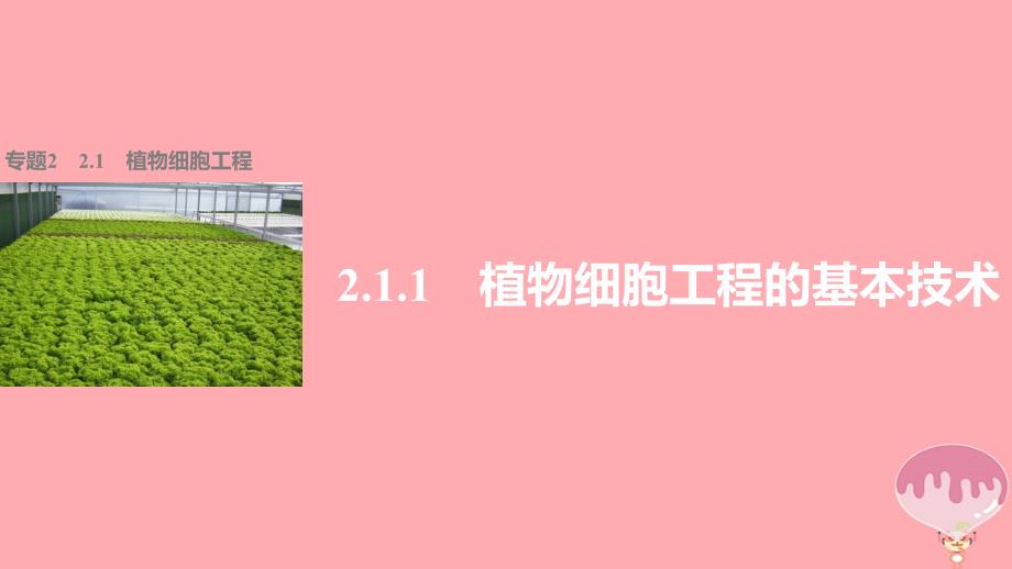 2017-2018学年高中生物 专题2 基因工程 2.1.1 植物细胞工程课件 新人教版选修3_第1页