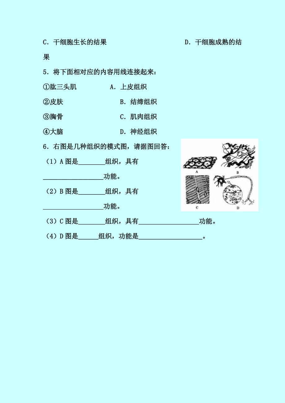 （省公开课教学设计）人教版七年级生物上册《动物的结构层次》导学案_第4页