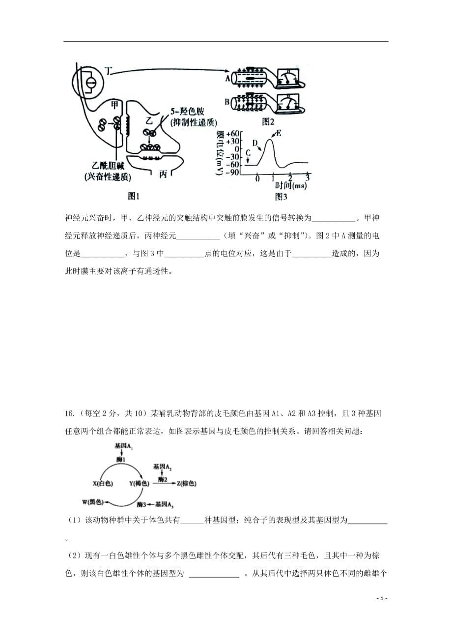 四川省宜宾市第四中学2018_2019学年高一生物下学期期中试题_第5页