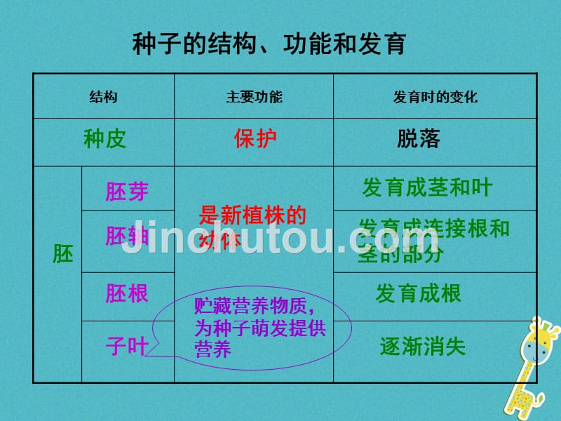 2017学年八年级生物上册 19.1 植物的生殖课件5 苏科版_第2页