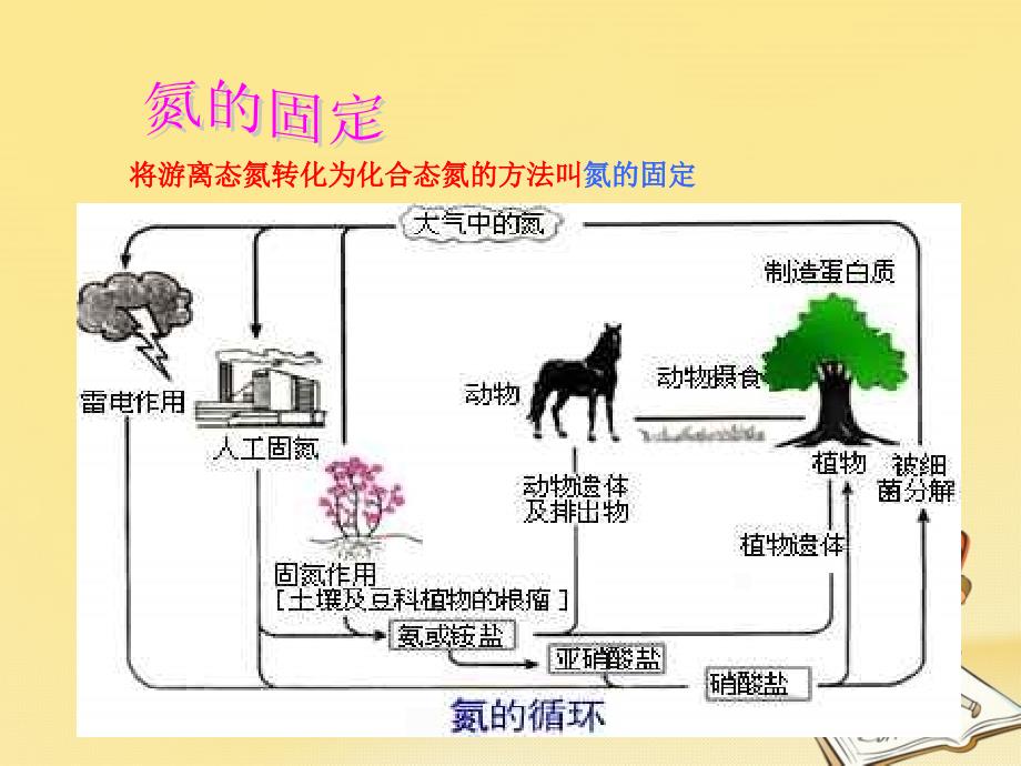 2017-2018学年高中化学 第一单元 走进化学工业 1.2 人工固氮技术──合成氨课件1 新人教版选修2_第3页