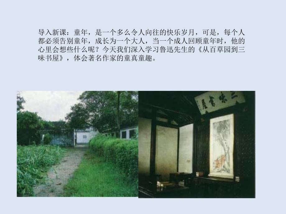 新人教版七年级语文上册第九课《从百草园到三味书屋》课件 （共33张PPT）_第2页