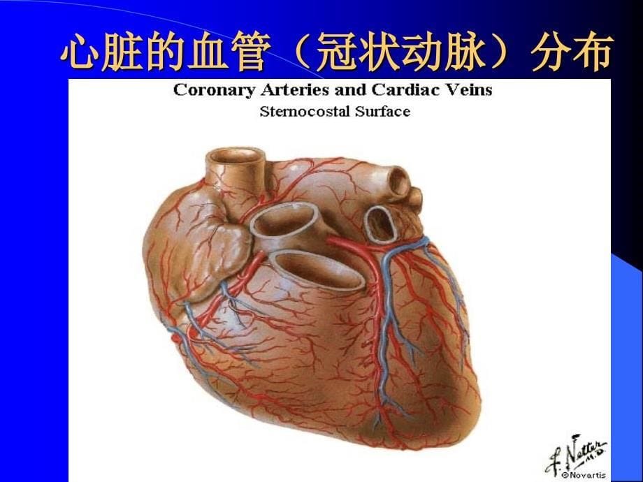 肥胖、血脂异常对冠心病的影响及治疗（73页）_第5页