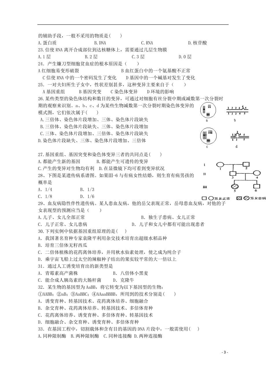 新疆2018_2019学年高一生物下学期期末考试试题_第3页