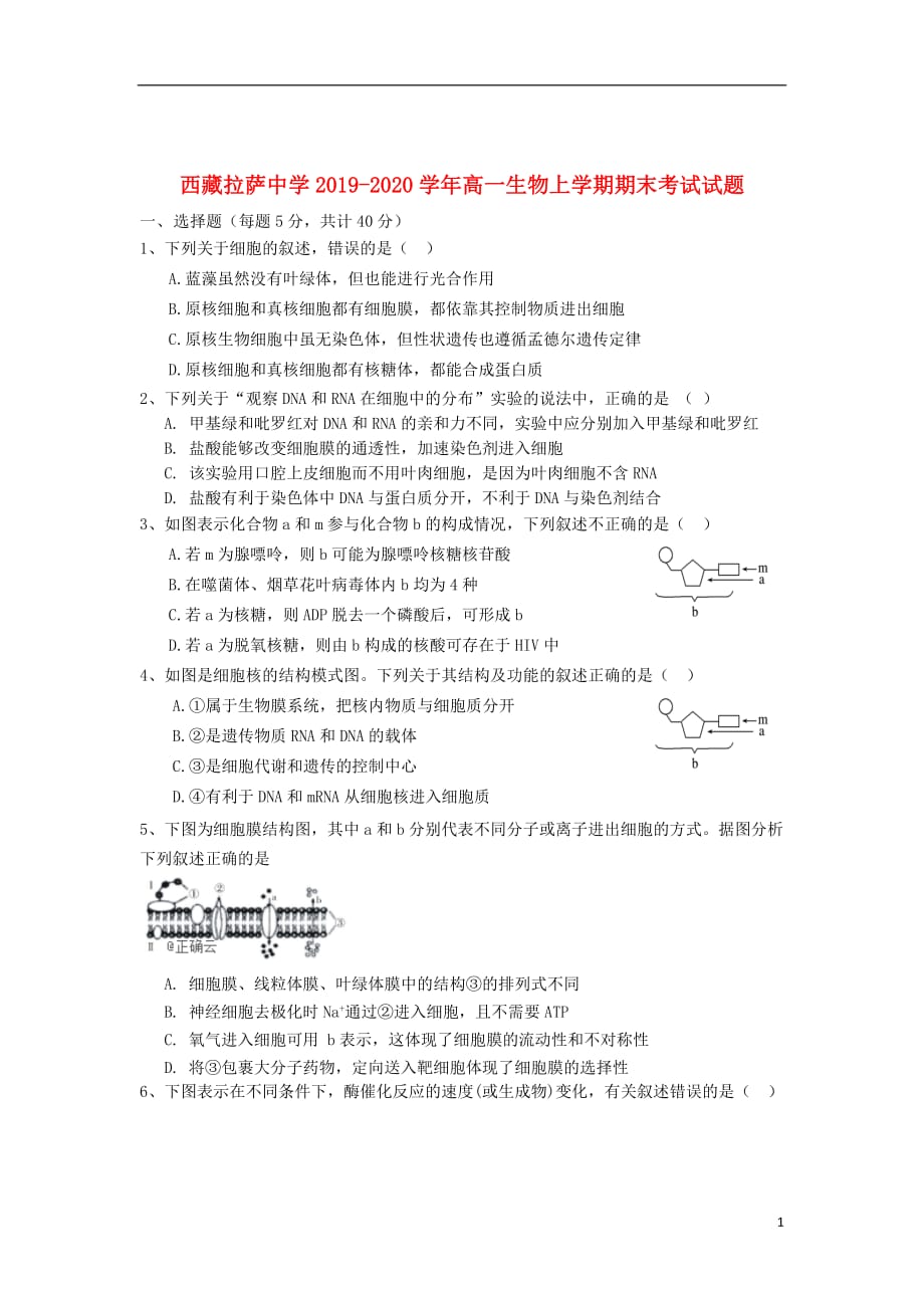 西藏2019_2020学年高一生物上学期期末考试试题_第1页