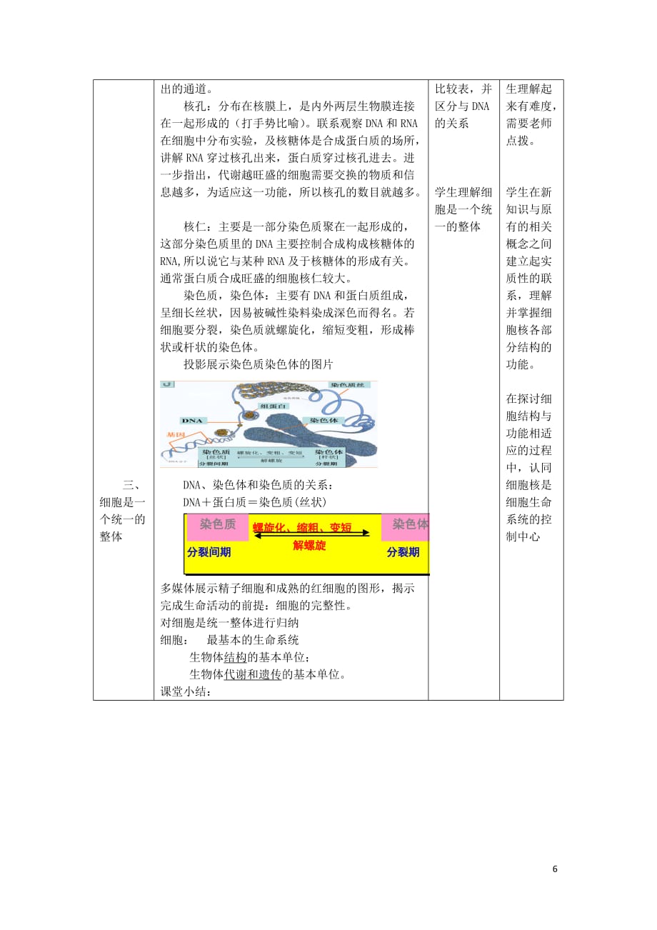 山东省高中生物3.3细胞核_系统的控制中心教案新人教版必修1_第4页