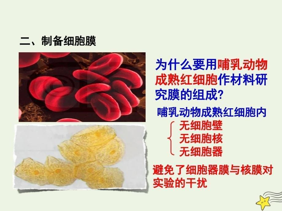 四川省高中生物第三章第一节细胞膜—系统的边界课件新人教版必修1_第5页