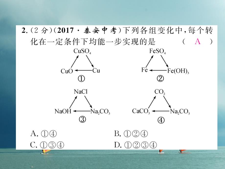 2018春九年级化学下册 双休作业（七）作业课件 （新版）新人教版_第3页