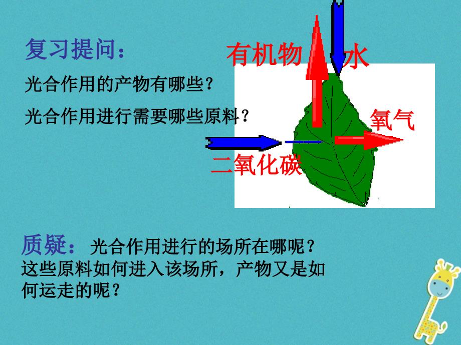 江西省万载县八年级生物上册 3.3.3光合作用的场所课件 （新版）冀教版_第1页