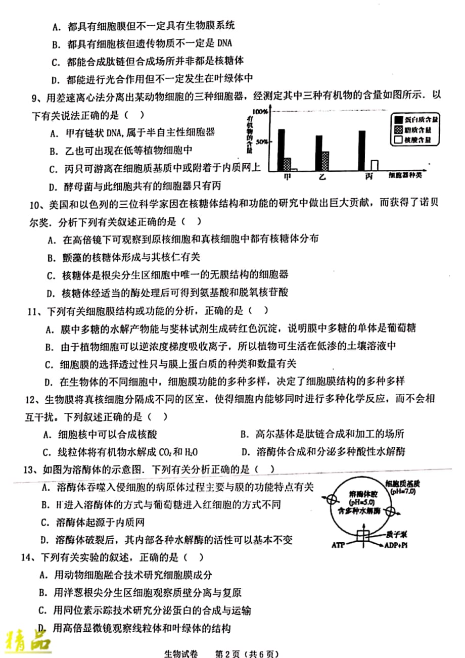安徽省2019_2020学年高一生物12月月考试题_第2页