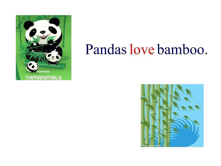 外研社（三起）六年级上册英语pandas love bamboo (共19张PPT)_第5页