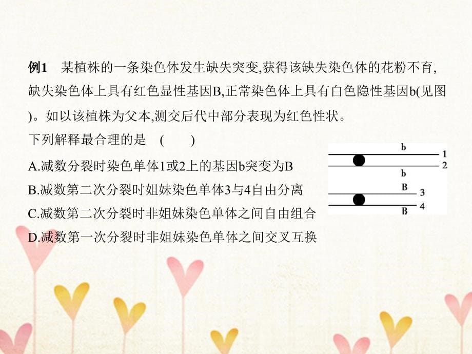 （B版浙江选考专用）2019版高考生物总复习 专题14 生物变异的来源课件_第5页