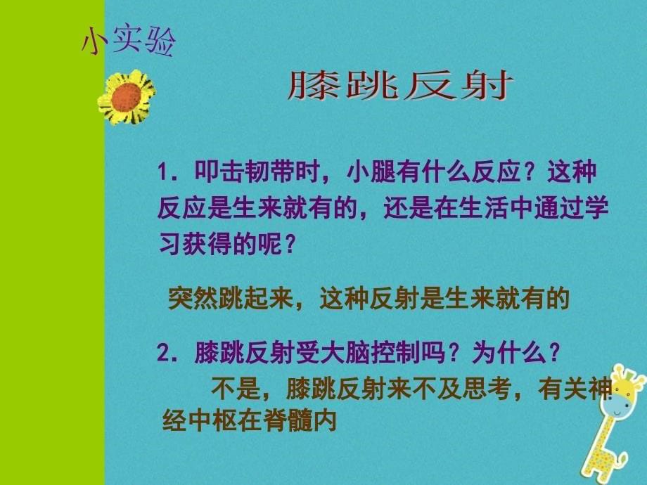 广东省中山市七年级生物下册 第四单元 第三节 神经调节课件 （新版）新人教版_第5页