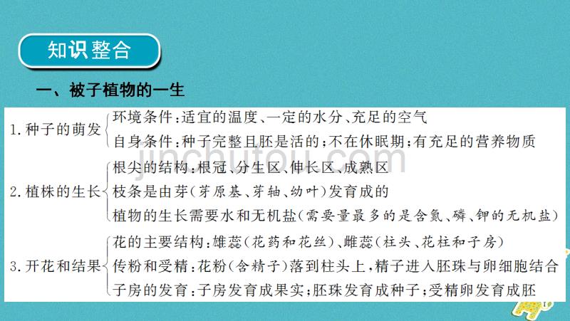 河南省2018年中考生物总复习 第2部分 模块1 专题3 生物圈中的绿色植物课件_第3页