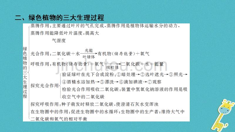 河南省2018年中考生物总复习 第2部分 模块1 专题3 生物圈中的绿色植物课件_第4页