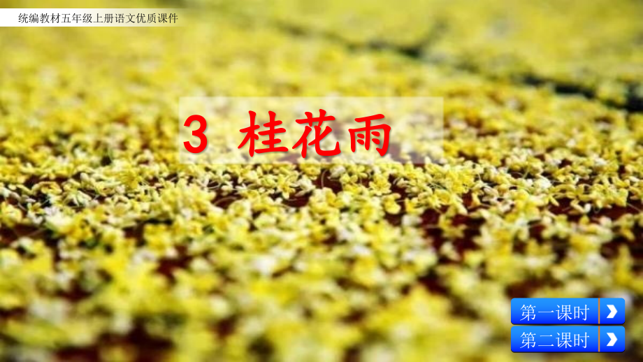 部编人教版五年级上册语文《3 桂花雨(2)》PPT课件_第2页