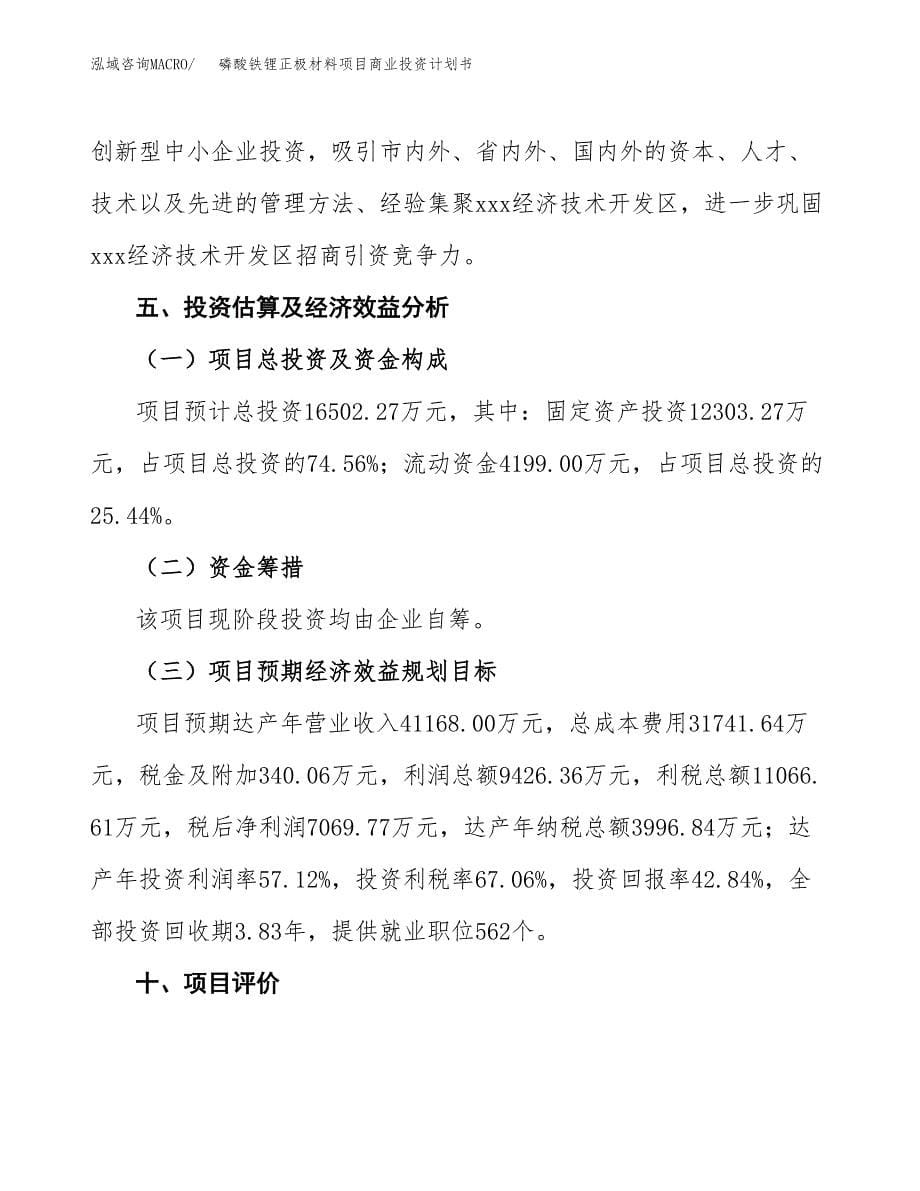 磷酸铁锂正极材料项目商业投资计划书（总投资17000万元）.docx_第5页