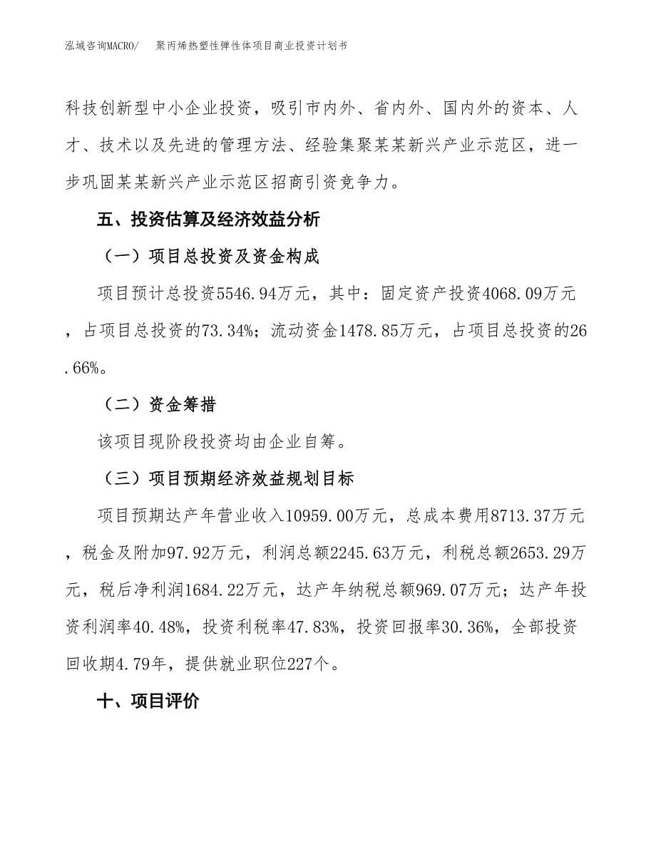 聚丙烯热塑性弹性体项目商业投资计划书（总投资6000万元）.docx_第5页