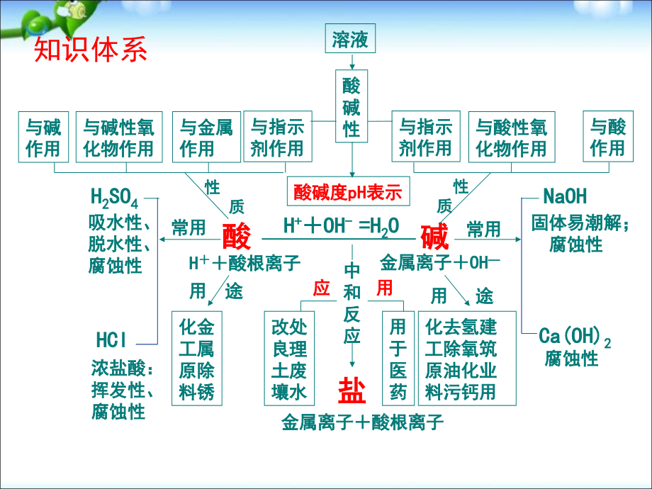 中考化学酸碱盐总复习课件1_第2页