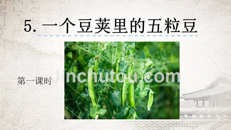 部编人教版四年级上册语文《5 一个豆荚里的五粒豆(3)》PPT课件_第1页