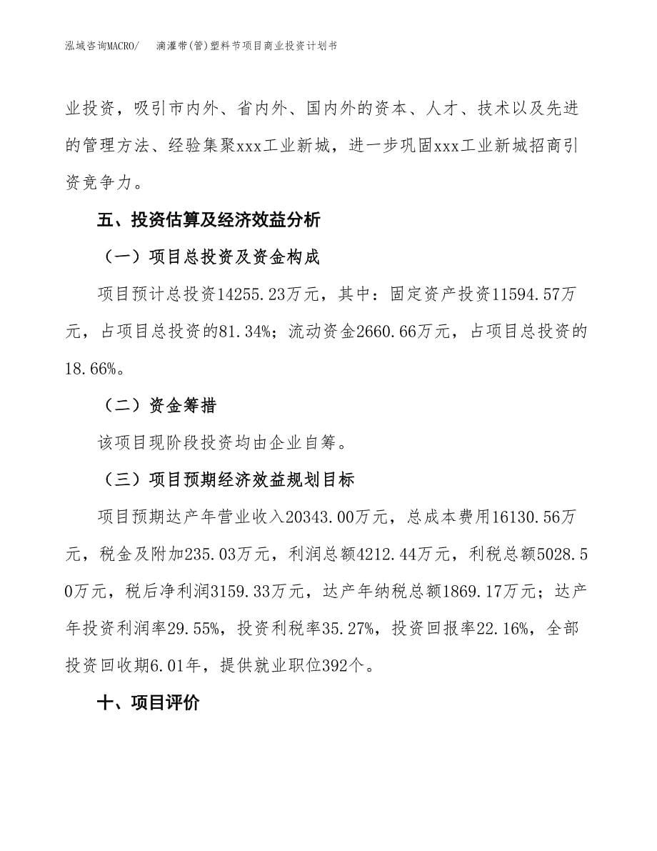 滴灌带(管)塑料节项目商业投资计划书（总投资14000万元）.docx_第5页