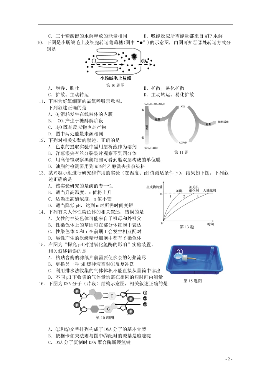 浙江省丽水市2018-2019学年高二生物上学期期末教学质量监控试题_第2页